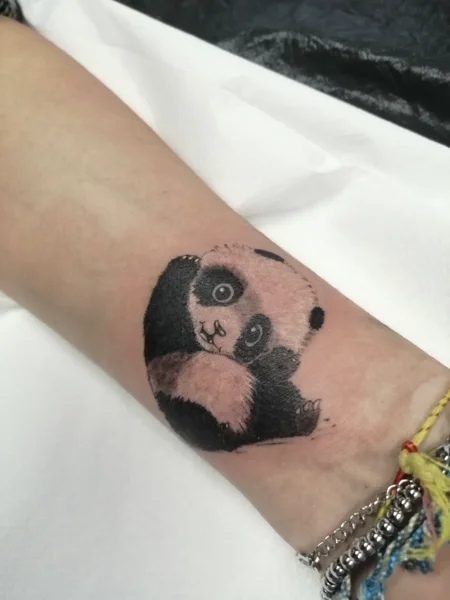 animali-baby-panda