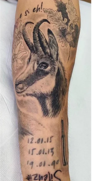 animali-camoscio