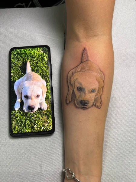 animali-cane