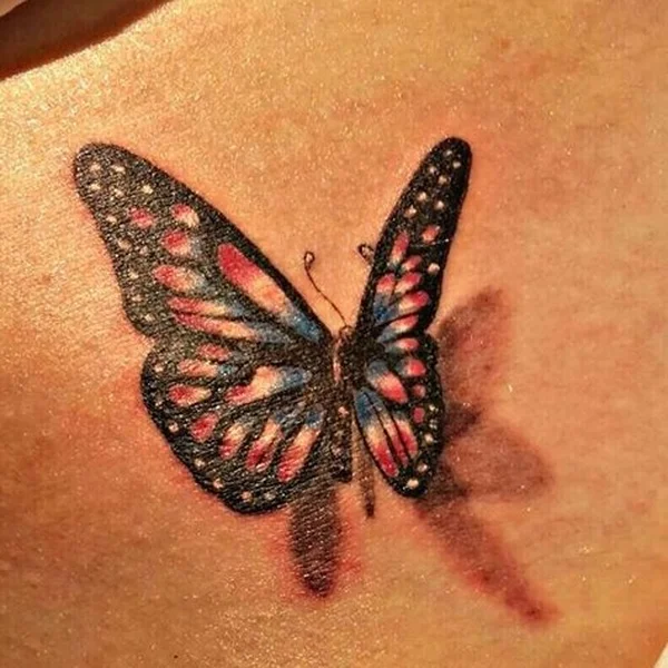animali-farfalla-colore