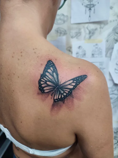 animali-farfalla