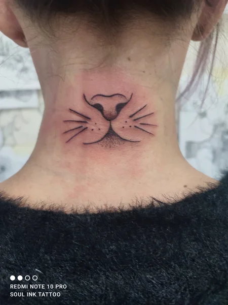 animali-muso-gatto