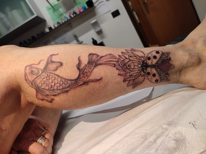 animali-pesce-coccinella