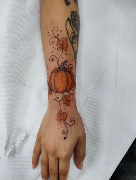 disegno-zucca