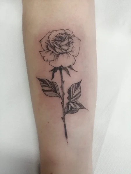 fine-line-rosa-avambraccio