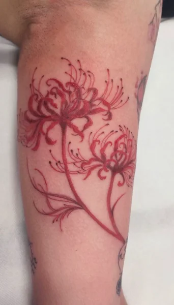 floreale-giglio-ragno-rosso