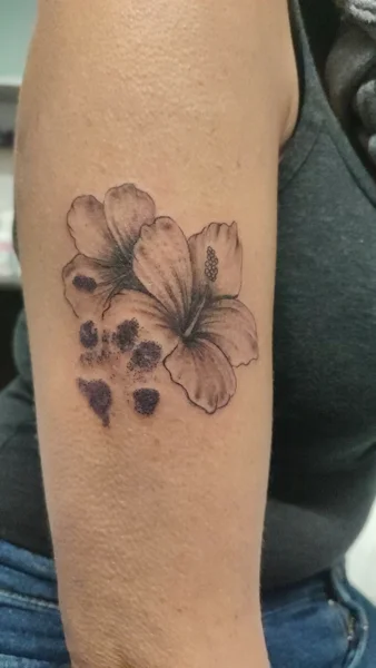 floreale-hibiscus