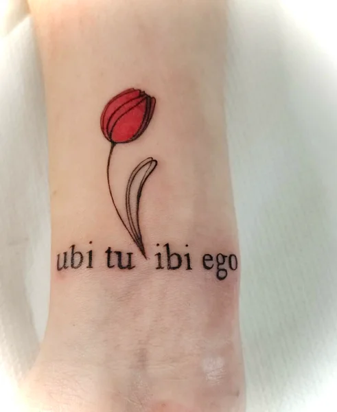 lettering-dicta-latina