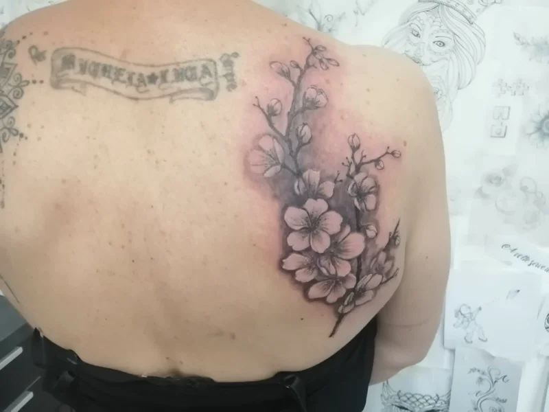 realistico-fiori-ciliegio