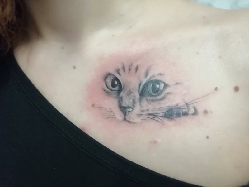 realistico-gatto