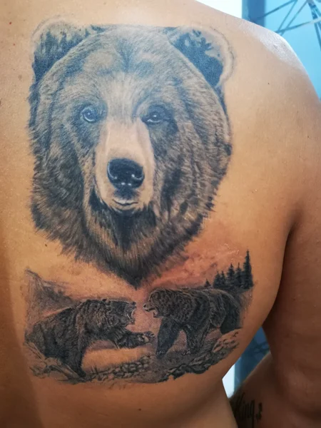 realistico-orso