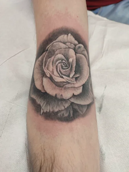 realistico-rosa