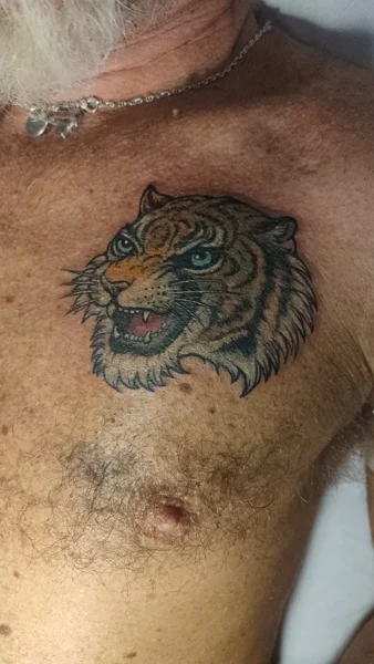 restyling-tigre-dopo