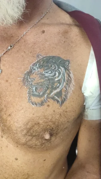 restyling-tigre-durante